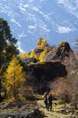 Foto op Plexiglas Manaslu A scenic view of the Manaslu mountain range and the colorful foliage in Nepal during the Manaslu circuit trek.