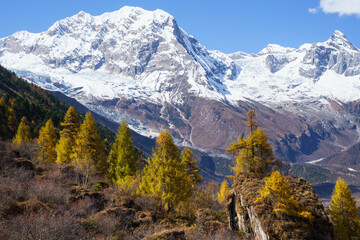Snowy peaks and autumn colors on the Manaslu Circuit Trek in Nepal