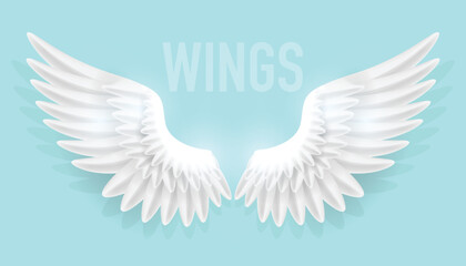 Vector illustration of realistic angel wings isolated on plain background