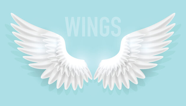Vector illustration of realistic angel wings isolated on plain background