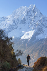 A hiker admires the majestic Manaslu range from a colorful forest in Nepal.