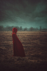 Red riding hood in a dark cold land - 559730981
