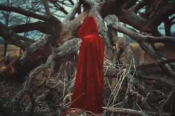 Red riding hood with dead tree