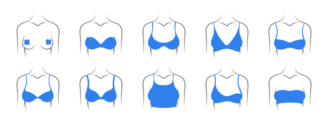 Types of bras. Underwear images. Collection of different types of bras. Vector illustration - obrazy, fototapety, plakaty