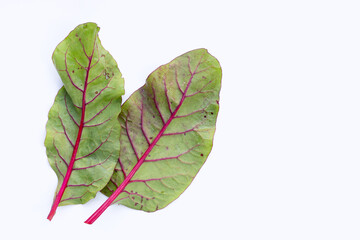 Obraz premium Fresh swiss chard leaves. Baby leaf swiss chard