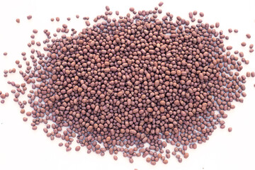 Poppe, Decorative pebble for cactus garden