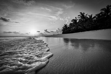 Tranquil beach landscape in black and white. Dramatic monochrome paradise island inspire meditation travel background. Palm trees white sand dark sky artistic waves relax coast. Summer minimal travel