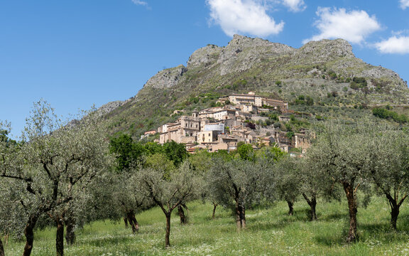 A scenic view a small town in central Italy on a hill surrounded by olive groves and vineyards. 