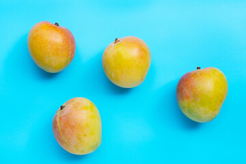 Tropical fruit, Mango on blue background.