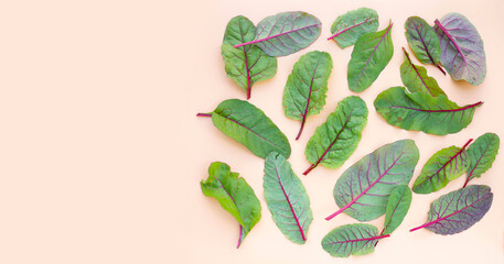 Fresh swiss chard leaves. Baby leaf swiss chard