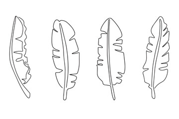 Set of tropical floral leaves drawn in one line. Vector illustration isolated on white background. Drawing a continuous line. Line style
