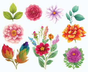 collection of flowers Beautiful Watercolor set of Design Ornaments