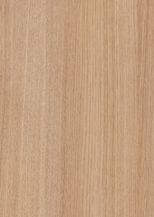Obraz premium Wood Texture