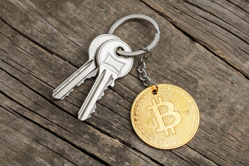 Crypto wallet security. Keys with a bitcoin keychain on a wooden background.