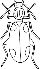 Hand drawn beetle icon in doodle style. Vector children's illustration for coloring.

