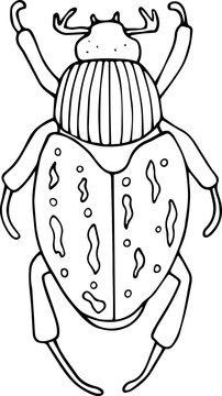 Hand drawn beetle icon in doodle style. Vector children's illustration for coloring.
