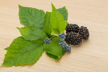 Blackberry