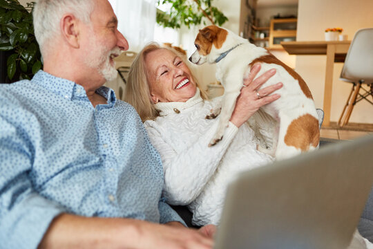 Happy retired couple with pet dog