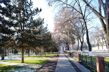 alley in the park