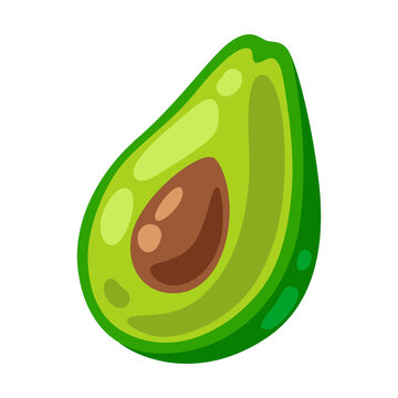 Illustration of avocado. Image for gastronomy and agricultural industries.