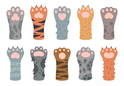Cartoon cats paws. Cute cat fluffy paw, striped and spotted domestic animals feet. Clawed cat paws flat vector illustration set isolated on white background
