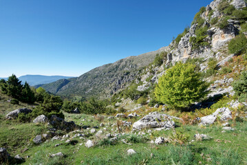Fototapeta na wymiar Griechenland - Zagori - Tsepelovo - Umland - Wanderweg