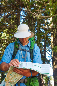 Hikers checking the trail map. Timberline Trail, Mt Hood, OR