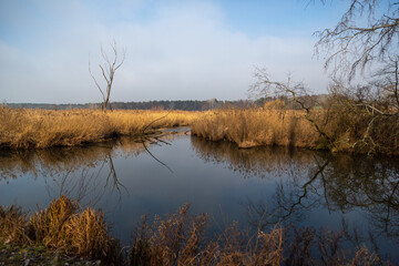 reflection on the river
