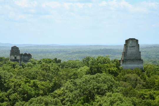 Ancient Maya ruins above forest in Tikal, Guatemala