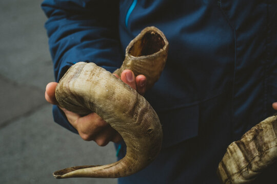 A Man Holds A Sheep Horn In His Hand