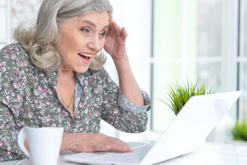 Happy senior woman using laptop at home