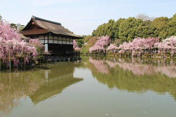 Fototapeta na wymiar lake and pavilion at the heian shrine in kyoto in japan