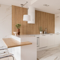 Fashionable kitchen with wooden wall