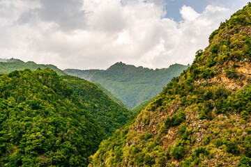 Fototapeta na wymiar Paisaje con vegetación en la isla de la Palma.