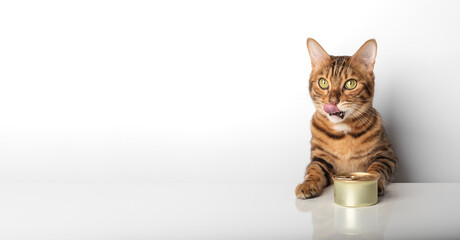 Bengal cat with a can of canned food on a white background.
