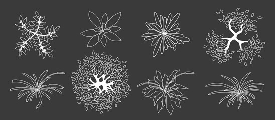 Trees and plants top view isolated on dark background. Elements for design projects. Uncolored grass and tree set for architectural, landscape design. Black and white graphic illustration. Vector kit