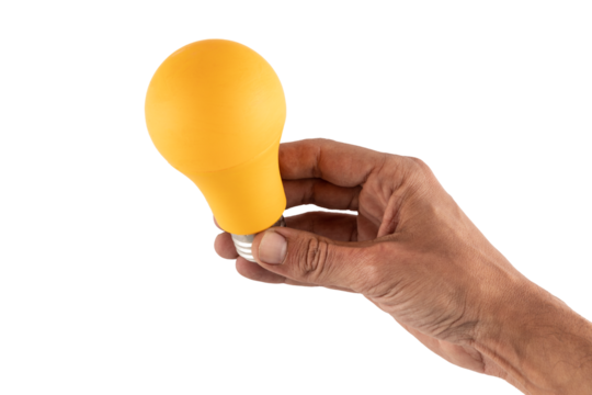 hand holding yellow bulb no background