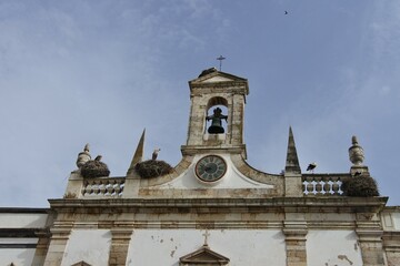 Fototapeta na wymiar Störche mit Nestern auf der Kirche Misericórdia in Faro