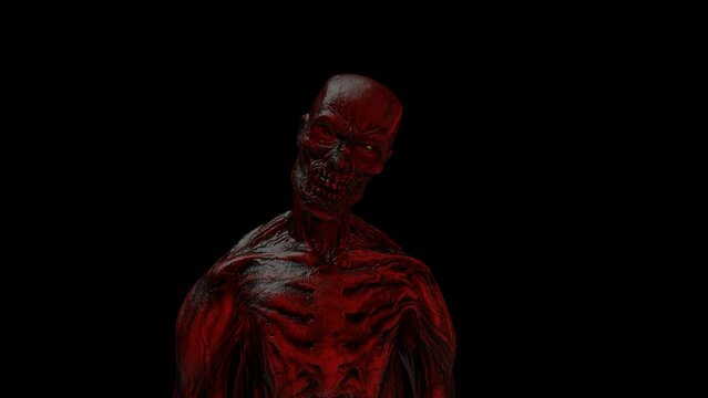Scary Skeleton Animation Transparent Alpha Video
