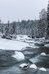Snow covered trees and wild river in mountains at winter