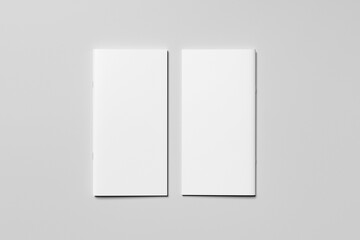 DL Brochure %2F Magazine Mockup