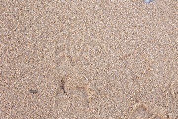 Fußabdruck mit Profil im Sand
