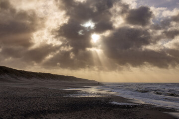 Pflanzen Steine, Sand, Kies D&auml;nemark Nordsee