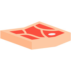 Raw Fresh Meat Slices Ready to Serve