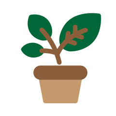 Plant Flat Icon