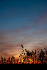 Obraz premium Vertical shot red sunset in the desert