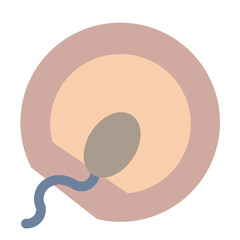 Ovum Flat Icon