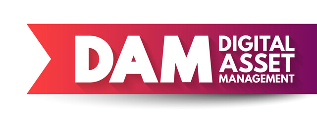 DAM Digital Asset Management - business process and an information management technology, acronym text concept background