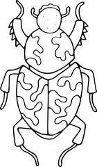 Hand drawn beetle icon in doodle style. Vector children's illustration for coloring.
