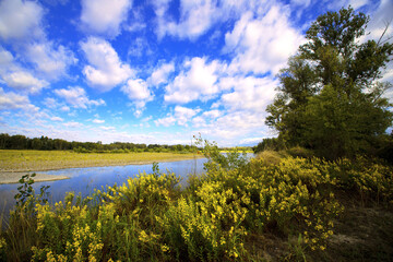 autumn landscape of the Taro Parma river park